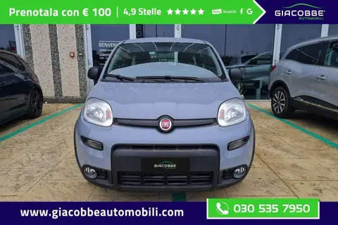 Annonce FIAT PANDA Hybride 2022 d'occasion 