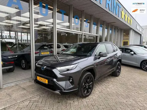 Annonce TOYOTA RAV4 Hybride 2024 d'occasion 