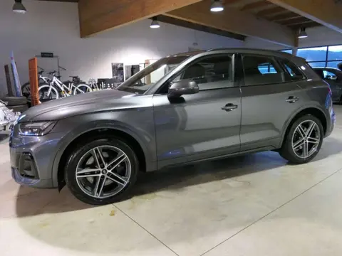 Used AUDI SQ5 Hybrid 2021 Ad 