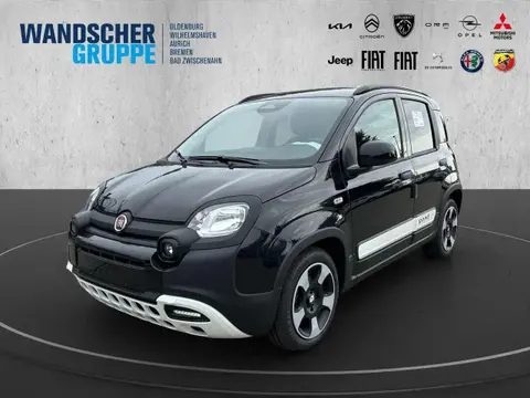 Annonce FIAT PANDA Essence 2024 d'occasion 