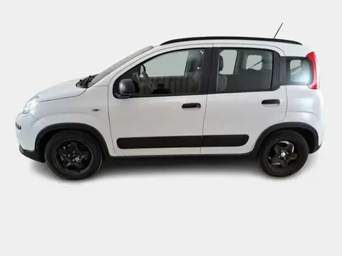 Used FIAT PANDA Hybrid 2022 Ad 