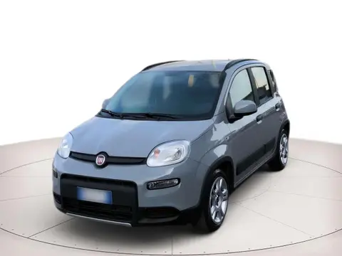 Used FIAT PANDA Hybrid 2023 Ad 