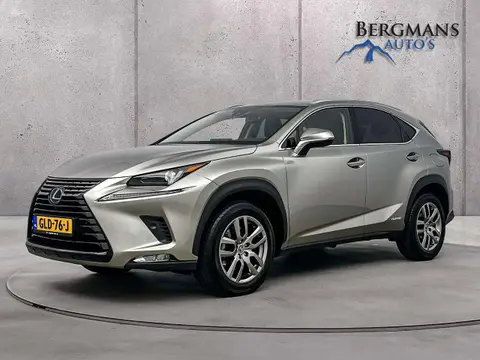 Annonce LEXUS NX Hybride 2021 d'occasion 