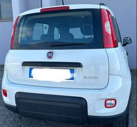 Annonce FIAT PANDA Hybride 2022 d'occasion 