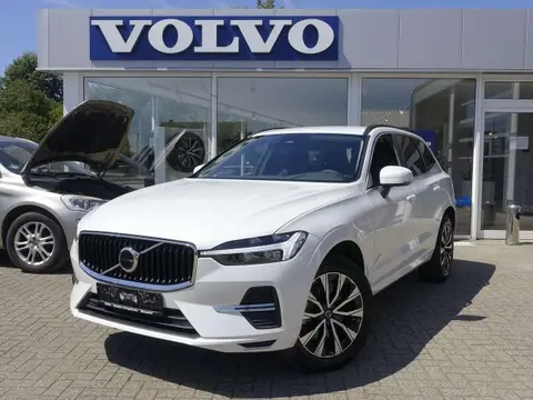 Used VOLVO XC60 Diesel 2023 Ad 