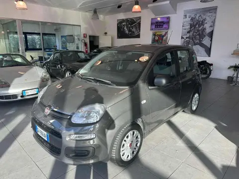 Annonce FIAT PANDA Hybride 2022 d'occasion 