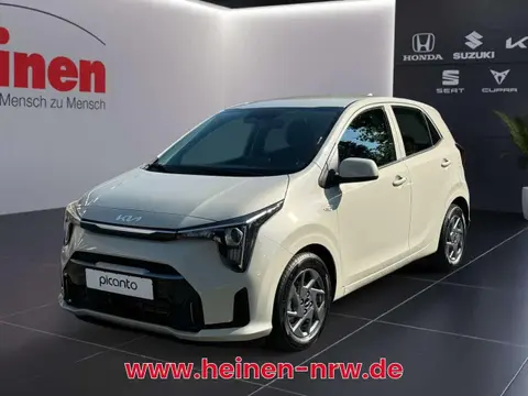 Used KIA PICANTO Petrol 2024 Ad 