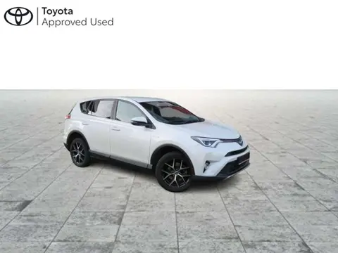 Used TOYOTA RAV4 Hybrid 2017 Ad Belgium