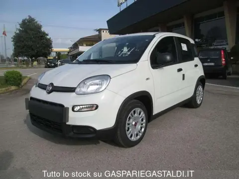 Used FIAT PANDA Hybrid 2023 Ad 