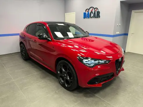 Used ALFA ROMEO STELVIO Diesel 2024 Ad 