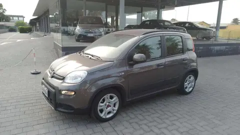 Annonce FIAT PANDA Hybride 2022 d'occasion 