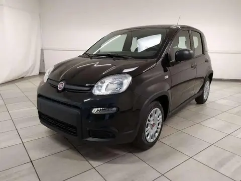 Used FIAT PANDA Hybrid 2024 Ad 