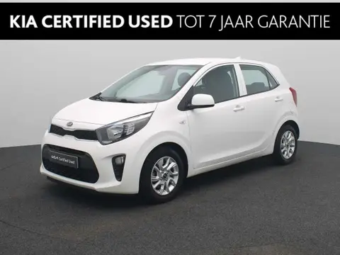 Annonce KIA PICANTO Essence 2020 d'occasion 