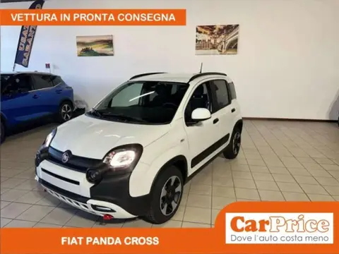 Used FIAT PANDA Hybrid 2024 Ad 