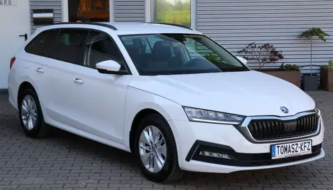 Used SKODA OCTAVIA Diesel 2020 Ad 