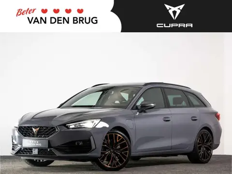 Annonce CUPRA LEON Hybride 2021 d'occasion 