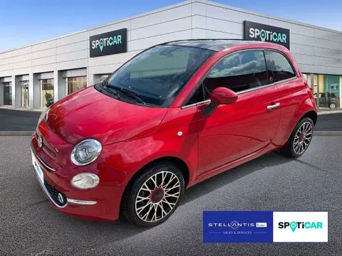 Used FIAT 500 Petrol 2023 Ad 