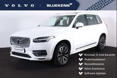 Used VOLVO XC90 Hybrid 2024 Ad 