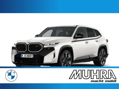 Annonce BMW XM Hybride 2023 d'occasion 