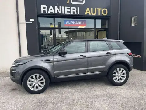 Used LAND ROVER RANGE ROVER EVOQUE Diesel 2019 Ad 