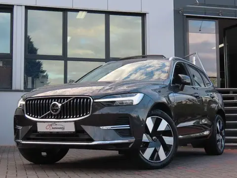 Used VOLVO XC60 Hybrid 2023 Ad 