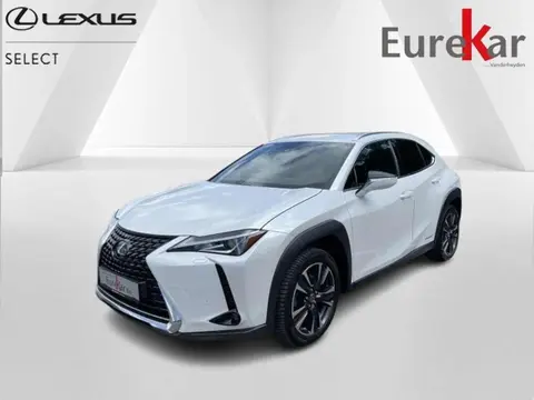 Used LEXUS UX Hybrid 2021 Ad 