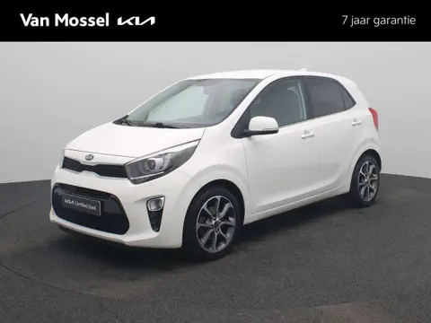 Used KIA PICANTO Petrol 2019 Ad 