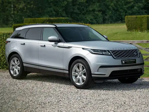 Used LAND ROVER RANGE ROVER VELAR Petrol 2021 Ad 