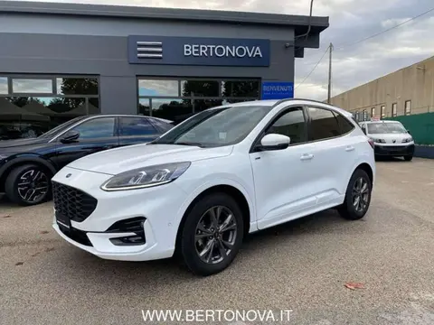 Annonce FORD KUGA Diesel 2023 d'occasion 