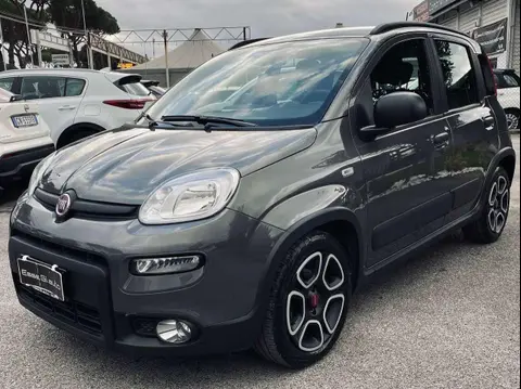 Used FIAT PANDA Hybrid 2023 Ad 