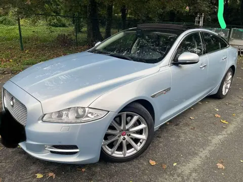 Annonce JAGUAR XJ Diesel 2015 d'occasion 