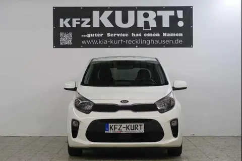 Used KIA PICANTO Petrol 2021 Ad 