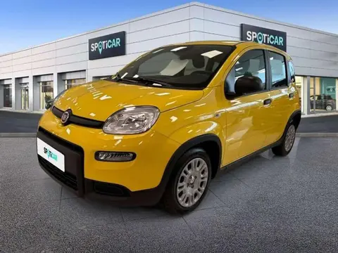 Used FIAT PANDA Petrol 2024 Ad 