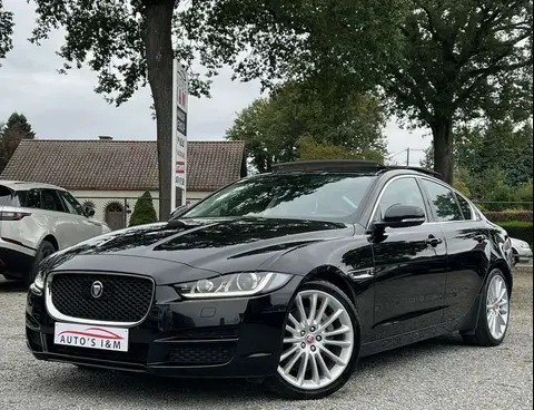 Used JAGUAR XE Diesel 2016 Ad 