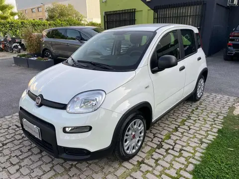 Annonce FIAT PANDA Hybride 2023 d'occasion 