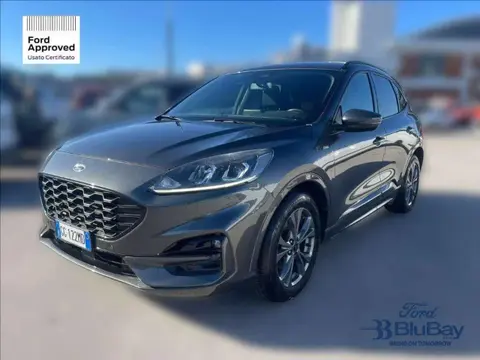 Annonce FORD KUGA Diesel 2021 d'occasion 