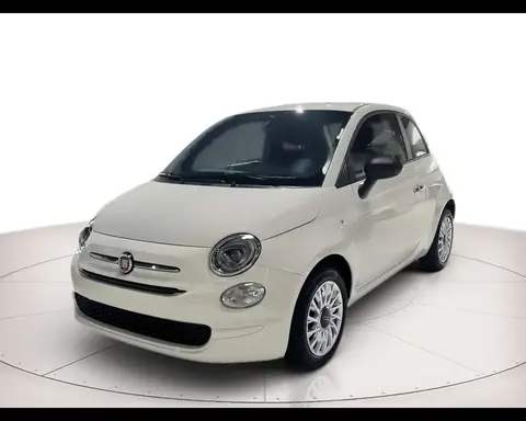 Used FIAT 500 Petrol 2023 Ad 