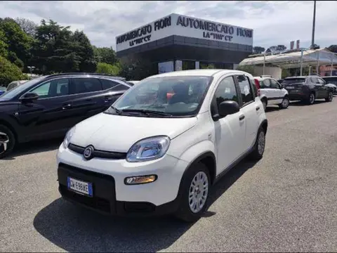 Annonce FIAT PANDA Hybride 2024 d'occasion 