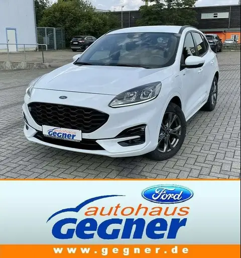 Used FORD KUGA Hybrid 2020 Ad 