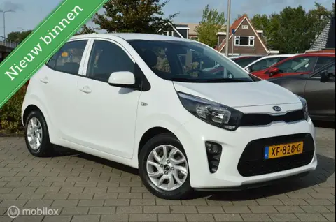 Annonce KIA PICANTO Essence 2019 d'occasion 