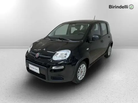 Annonce FIAT PANDA Hybride 2023 d'occasion 