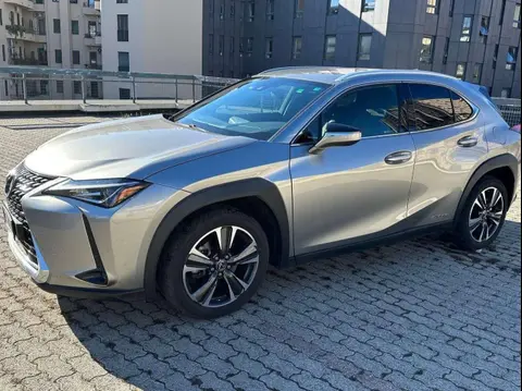 Used LEXUS UX Hybrid 2019 Ad 