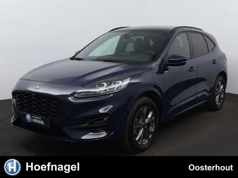 Used FORD KUGA Hybrid 2023 Ad 