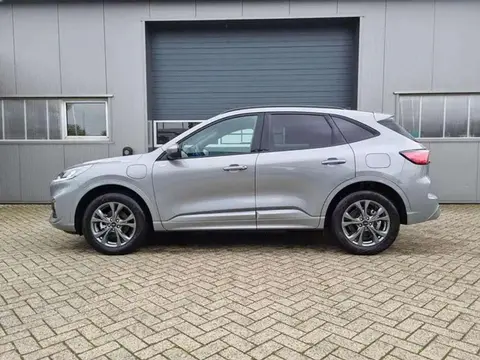 Used FORD KUGA Hybrid 2024 Ad 