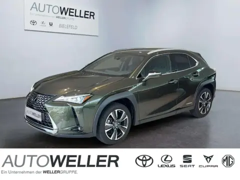 Used LEXUS UX Hybrid 2020 Ad 