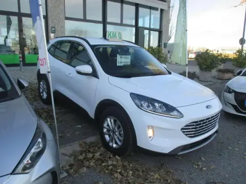 Used FORD KUGA Diesel 2023 Ad 