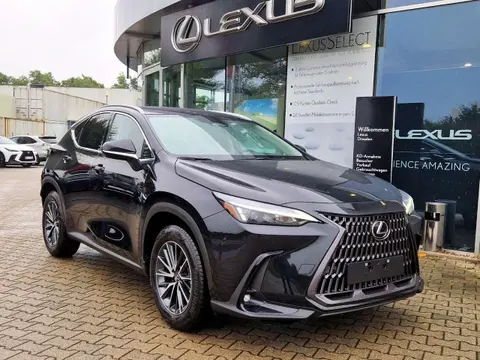 Used LEXUS NX Hybrid 2024 Ad 