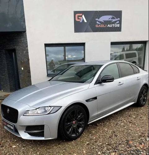 Used JAGUAR XF Diesel 2018 Ad 