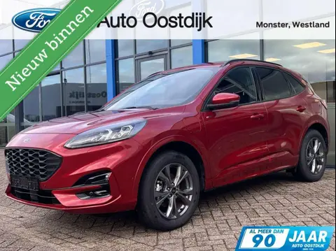 Used FORD KUGA Hybrid 2023 Ad 