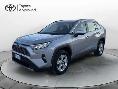 Used TOYOTA RAV4 Hybrid 2021 Ad 